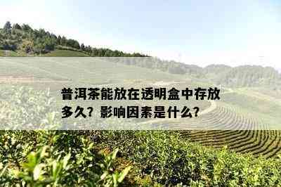 普洱茶能放在透明盒中存放多久？影响因素是什么？