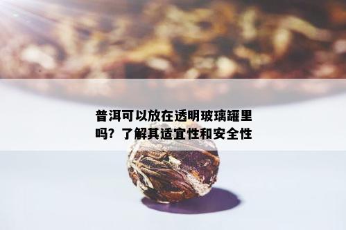 普洱可以放在透明玻璃罐里吗？了解其适宜性和安全性