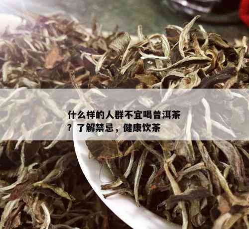 什么样的人群不宜喝普洱茶？了解禁忌，健康饮茶