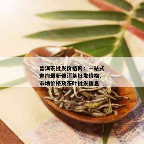 普洱茶批发价格网：一站式查询最新普洱茶批发价格、市场价格及茶叶批发信息