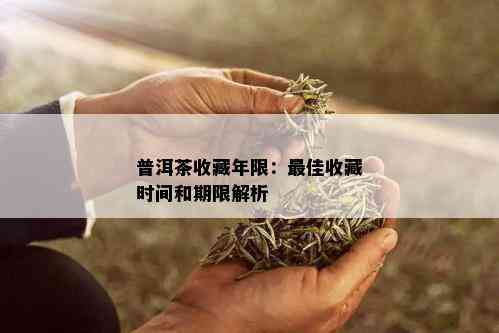 普洱茶收藏年限：更佳收藏时间和期限解析