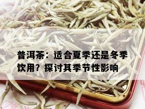 普洱茶：适合夏季还是冬季饮用？探讨其季节性影响