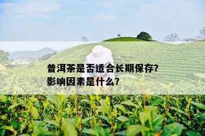 普洱茶是否适合长期保存？影响因素是什么？