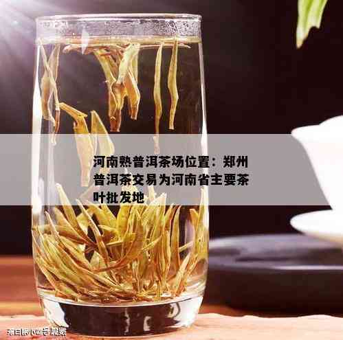 河南熟普洱茶场位置：郑州普洱茶交易为河南省主要茶叶批发地