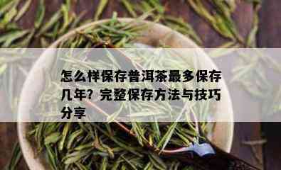 怎么样保存普洱茶最多保存几年？完整保存方法与技巧分享