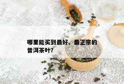 哪里能买到更好、最正宗的普洱茶叶？