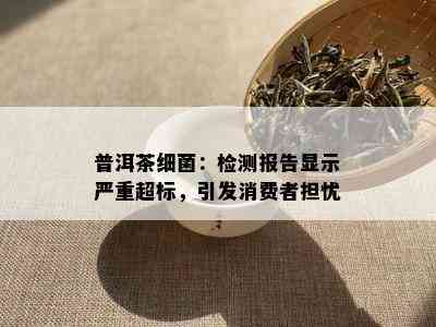 普洱茶细菌：检测报告显示严重超标，引发消费者担忧