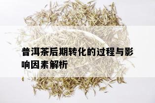 普洱茶后期转化的过程与影响因素解析