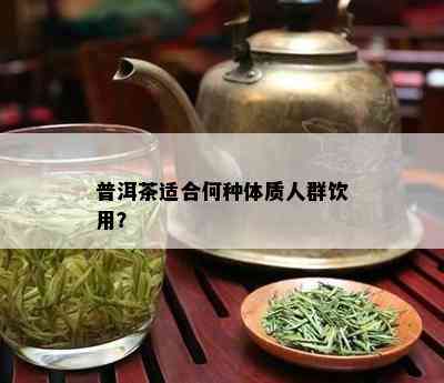 普洱茶适合何种体质人群饮用？