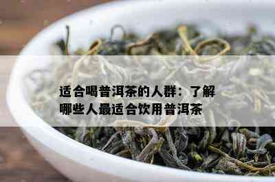 适合喝普洱茶的人群：了解哪些人最适合饮用普洱茶