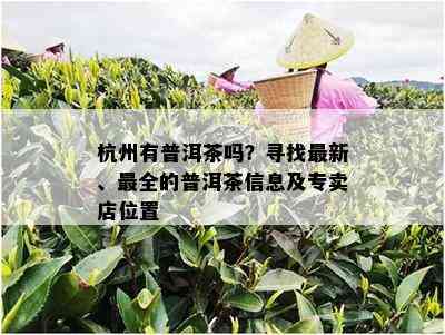 杭州有普洱茶吗？寻找最新、最全的普洱茶信息及专卖店位置