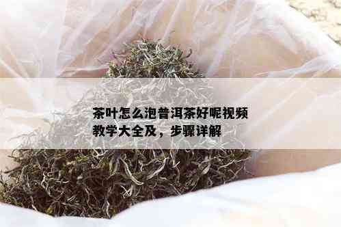 茶叶怎么泡普洱茶好呢视频教学大全及，步骤详解