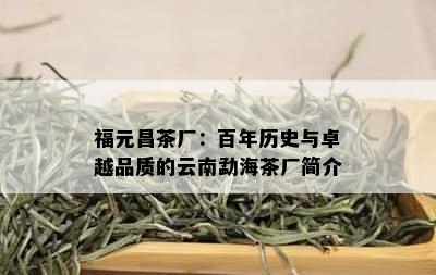 福元昌茶厂：百年历史与卓越品质的云南勐海茶厂简介