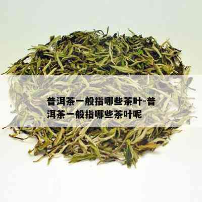 普洱茶一般指哪些茶叶-普洱茶一般指哪些茶叶呢