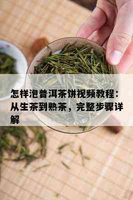 怎样泡普洱茶饼视频教程：从生茶到熟茶，完整步骤详解