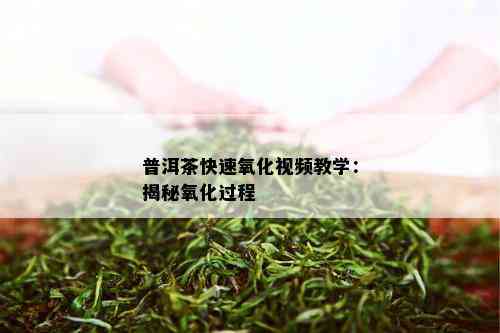 普洱茶快速氧化视频教学：揭秘氧化过程