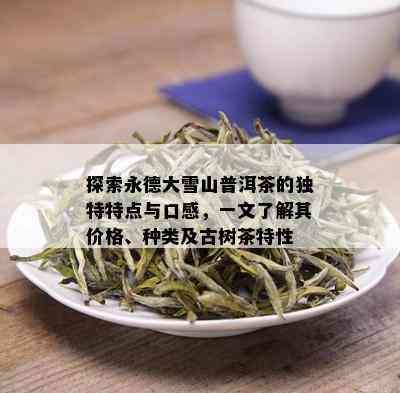 探索永德大雪山普洱茶的独特特点与口感，一文了解其价格、种类及古树茶特性