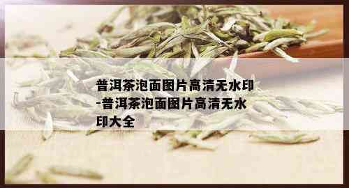 普洱茶泡面图片高清无水印-普洱茶泡面图片高清无水印大全