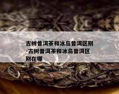 古树普洱茶和冰岛普洱区别-古树普洱茶和冰岛普洱区别在哪