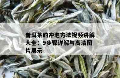 普洱茶的冲泡方法视频讲解大全：9步骤详解与高清图片展示