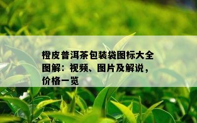 橙皮普洱茶包装袋图标大全图解：视频、图片及解说，价格一览