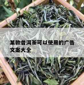 某款普洱茶可以使用的广告文案大全