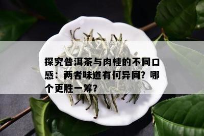 探究普洱茶与肉桂的不同口感：两者味道有何异同？哪个更胜一筹？