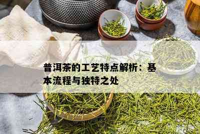 普洱茶的工艺特点解析：基本流程与独特之处