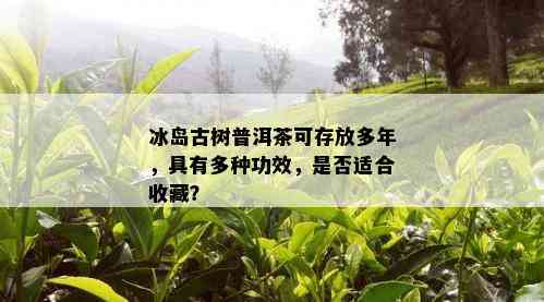 冰岛古树普洱茶可存放多年，具有多种功效，是否适合收藏？