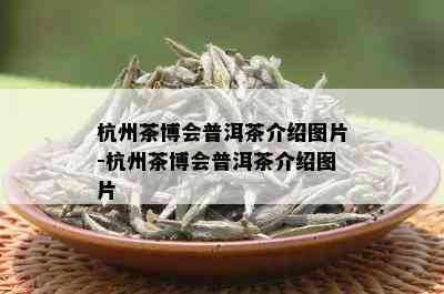 杭州茶博会普洱茶介绍图片-杭州茶博会普洱茶介绍图片