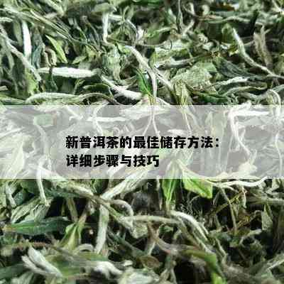 新普洱茶的更佳储存方法：详细步骤与技巧