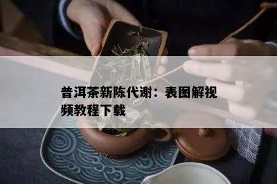 普洱茶新陈代谢：表图解视频教程下载