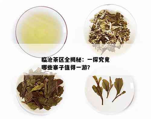 临沧茶区全揭秘：一探究竟哪些寨子值得一游？