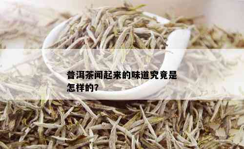 普洱茶闻起来的味道究竟是怎样的？