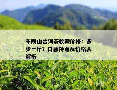 布朗山普洱茶收藏价格：多少一斤？口感特点及价格表解析