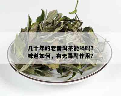 几十年的老普洱茶能喝吗？味道如何，有无副作用？