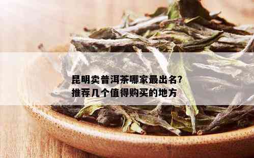 昆明卖普洱茶哪家最出名？推荐几个值得购买的地方