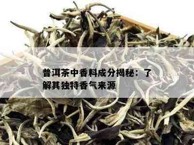 普洱茶中香料成分揭秘：了解其独特香气来源