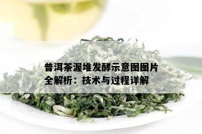 普洱茶渥堆发酵示意图图片全解析：技术与过程详解