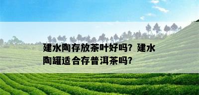 建水陶存放茶叶好吗？建水陶罐适合存普洱茶吗？