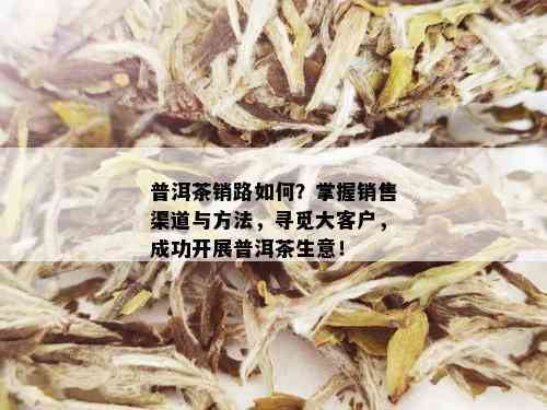 普洱茶销路如何？掌握销售渠道与方法，寻觅大客户，成功开展普洱茶生意！