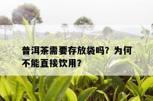 普洱茶需要存放袋吗？为何不能直接饮用？