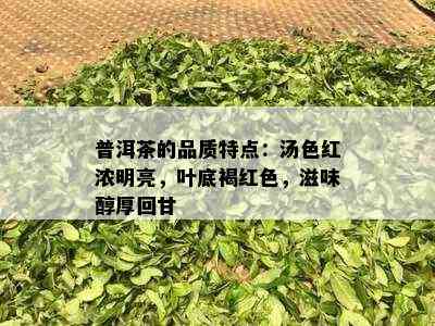 普洱茶的品质特点：汤色红浓明亮，叶底褐红色，滋味醇厚回甘