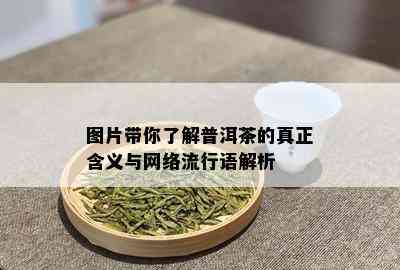 图片带你了解普洱茶的真正含义与网络流行语解析