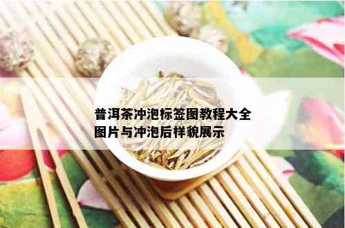 普洱茶冲泡标签图教程大全图片与冲泡后样貌展示