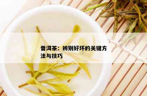 普洱茶：辨别好坏的关键方法与技巧