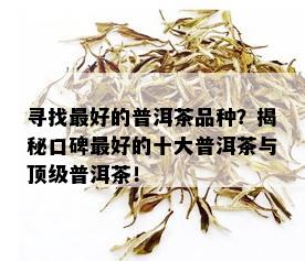 寻找更好的普洱茶品种？揭秘口碑更好的十大普洱茶与顶级普洱茶！