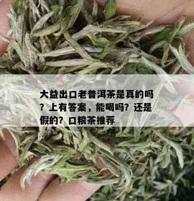 大益出口老普洱茶是真的吗？上有答案，能喝吗？还是假的？口粮茶推荐