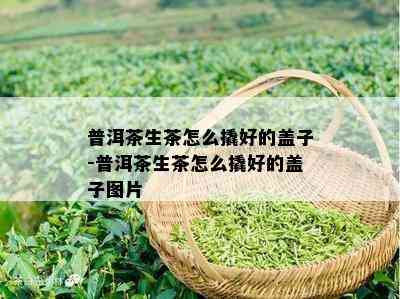 普洱茶生茶怎么撬好的盖子-普洱茶生茶怎么撬好的盖子图片