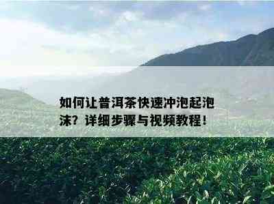 如何让普洱茶快速冲泡起泡沫？详细步骤与视频教程！